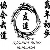 Video de Aikido Tecnico